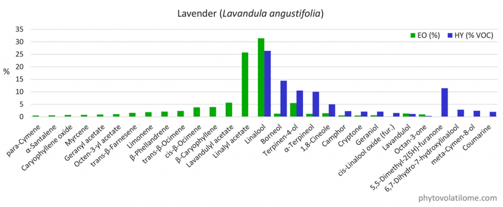 hydrolat hydrosol composition lavender lavandula GC-MS